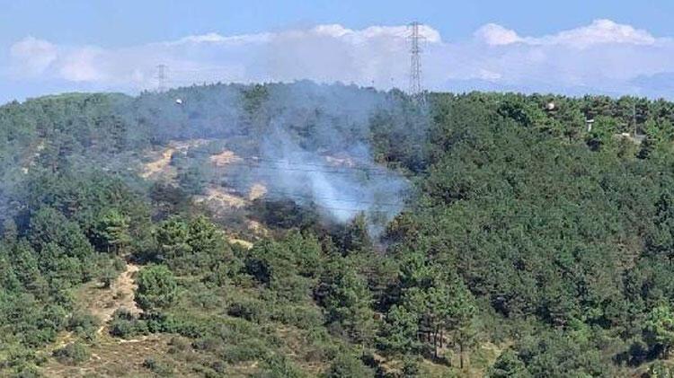 SON DAKİKA  İstanbul'da orman yangını