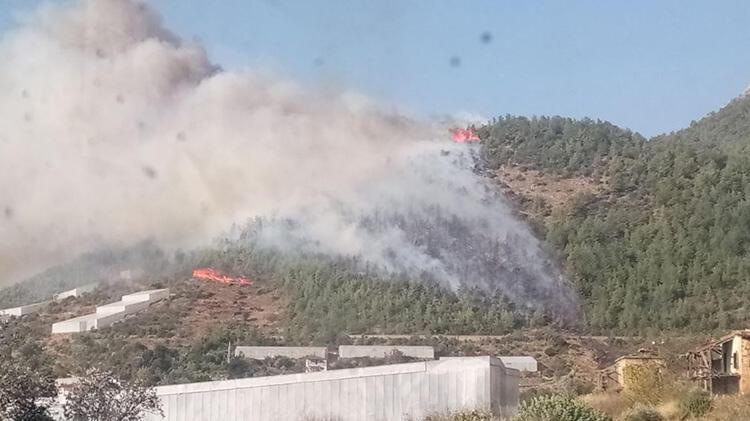 SON DAKİKA  Mersin'de orman yangını