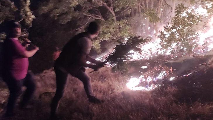 SON DAKİKA Bingöl'deki orman yangınları kontrol altına alındı!