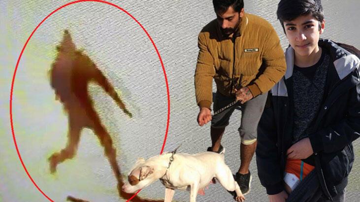 SON DAKİKA Bir pitbull saldırısı daha! 13 yaşındaki çocuk dehşeti yaşadı