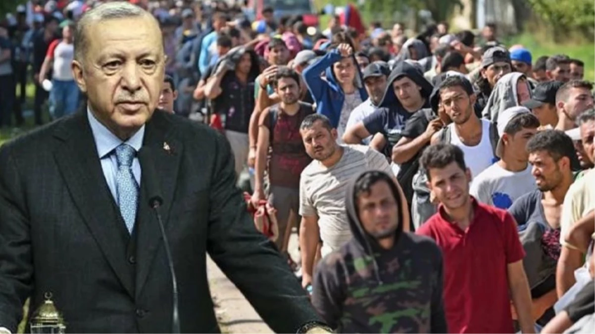 Son Dakika! Cumhurbaşkanı Erdoğan: Vatandaşlarımız düzensiz göçmenler konusundaki değişikliği kısa sürede hissedecek