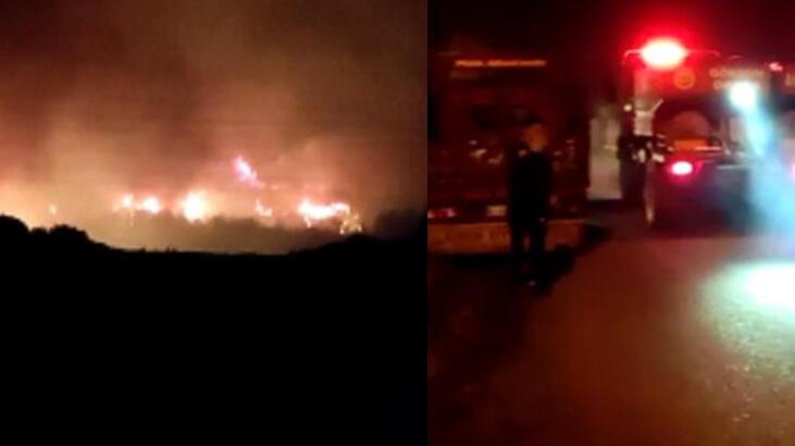 SON DAKİKA Hatay’da gece yarısı orman yangını