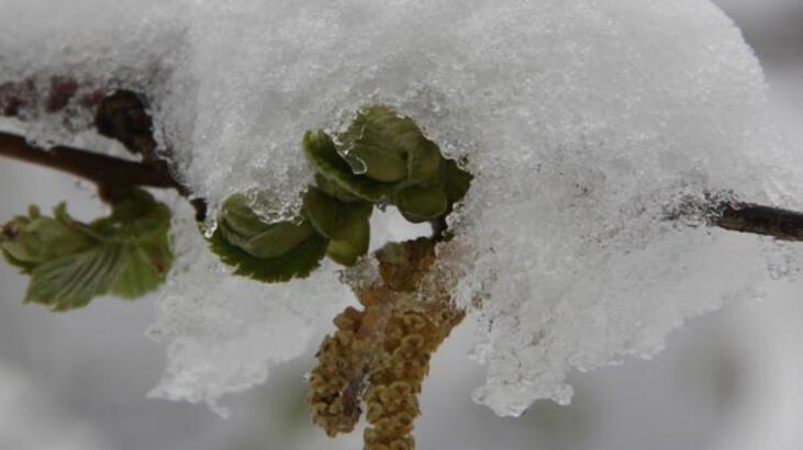 Son dakika: Meteoroloji'den 4 il için flaş uyarı geldi!
