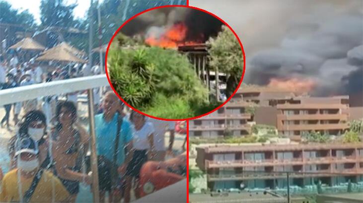 Son dakika: Peş peşe orman yangın haberleri! Bakanlardan açıklamalar