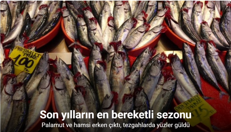 Son yılların en bereketli palamut sezonu