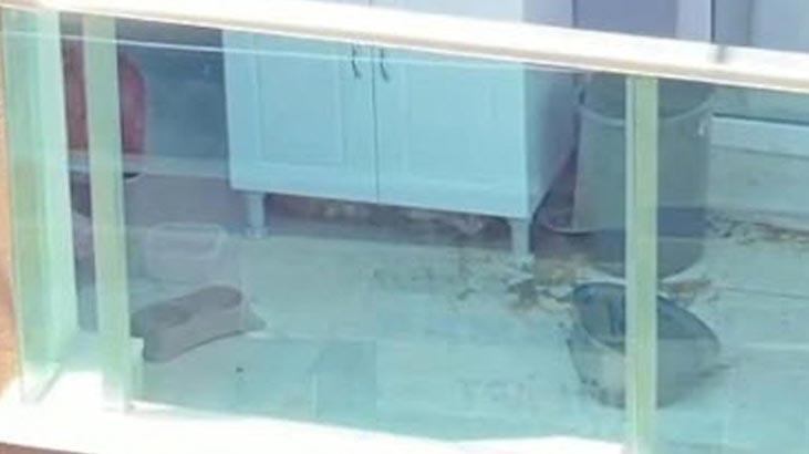 Sosyal medyadan paylaştılar! 3 gün aç ve susuz bıraktılar iddiası