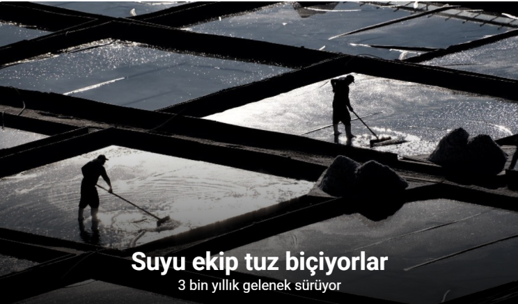 Suyu ekip tuz biçiyorlar