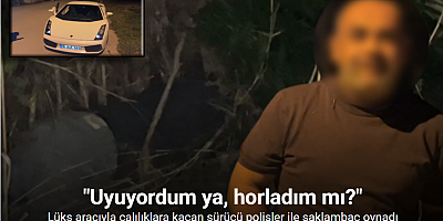 10 milyonluk lüks aracını bırakıp çalılıklara kaçan sürücü uyuyakaldı, polis böyle buldu