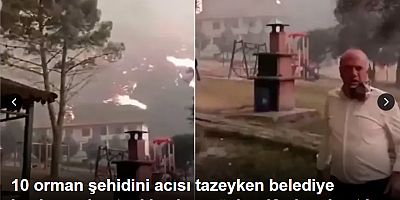 10 orman şehidini acısı tazeyken belediye başkanından tepki çeken sözler: Korkup kaçtılar