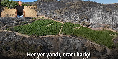 100 hektar küle döndü, gözü gibi baktığı 25 dönümlük bahçesi yeşil kaldı