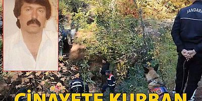 13 yıl önce ormanda kemikleri bulunmuştu; cinayete kurban gittiği ortaya çıktı