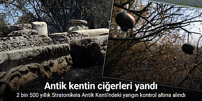 2 bin 500 yıllık antik kentin ciğerleri yandı