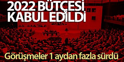 2022 bütçesi TBMM Plan ve Bütçe Komisyonu'nda kabul edildi