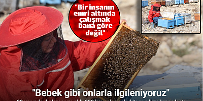 22 yaşında diplomasını aldı, 250 kovanla başladığı arıcılıkta bine ulaştı