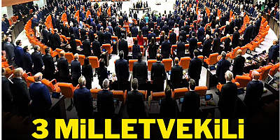 3 bağımsız milletvekilinin takacağı rozet belli oldu