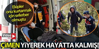 4 gün çimen yiyerek hayatta kaldı