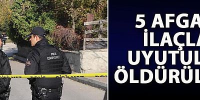 5 Afgan, ilaçla uyutulup öldürülmüş