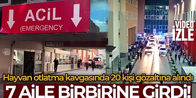 7 ailenin karıştığı hayvan otlatma kavgasında 20 kişi gözaltına alındı