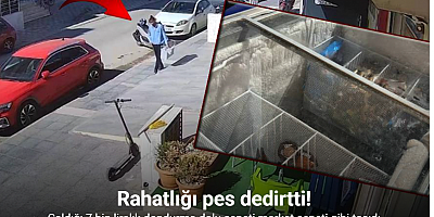 7 bin liralık dondurma dolu sepeti çaldı, marketten alışveriş yaparcasına yoluna devam etti: O anlar kamerada