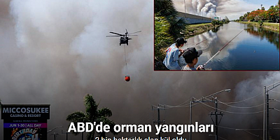 ABD'de orman yangınları: 2 bin hektarlık alan kül oldu
