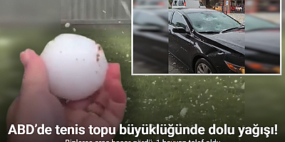 ABD’de tenis topu büyüklüğünde dolu yağışı: Hayvanat bahçesinde 1 hayvan telef oldu