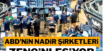 ABD'nin nadir şirketleri zenginleşiyor