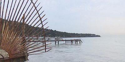 Ada sakinleri endişeli! Büyükada'yı 'salya' sardı