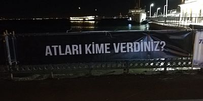 Adalar'da hayvanseverlerden İBB'ye 'kayıp at' tepkisi