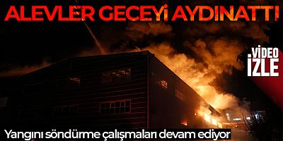 Adana'da hijyenik ürün üretim fabrikasının deposunda yangın