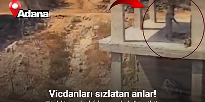 Adana’da köpeğe sopayla şiddet güvenlik kamerasında