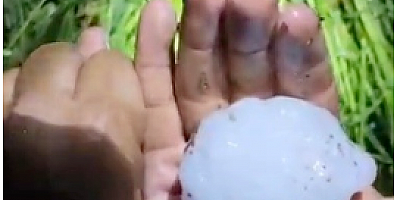 Adana’da yumruk büyüklüğünde dolu yağışı tarım arazilerine zarar verdi