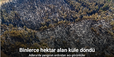 Adana’daki yangında binlerce hektar alan küle döndü