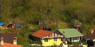 Adım Adım Orman Arazisi Nasıl İşgal Ediliyor Bu İşgalcinin Torpili Nereden