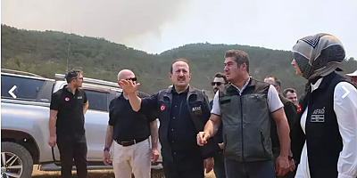 AFAD, yangın bölgelerindeki son durumu paylaştı