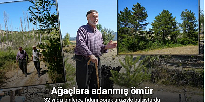 Ağaçlara adanmış ömür: 32 senede binlerce fidan dikti
