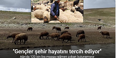Ağrı’da 120 bin lira maaşa rağmen çoban bulunamıyor