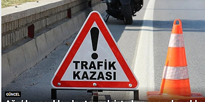 Ağrı’da çocukları kurtarmak isterken canından oldu