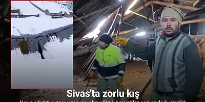 Ahırın çatısı yağan karın ağırlığını taşıyamadı, hayvanlar komşuların yardımıyla kurtarıldı