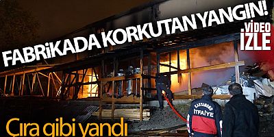 Ahşap üzerine faaliyet gösteren fabrika alevlere teslim oldu
