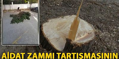 Aidat zammı tartışmasının yaşandığı siteyi bu kez ağaç kesimi karıştırdı