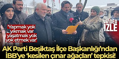 AK Parti Beşiktaş İlçe Başkanlığı'ndan İBB'ye ‘kesilen çınar ağaçları' tepkisi
