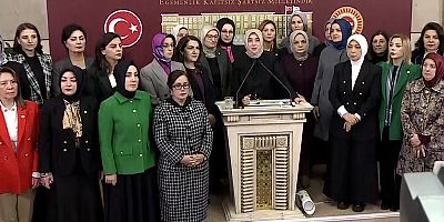 AK Parti Grup Başkanvekili Özlem Zengin: (Başörtüsü teklifi) '336 milletvekilimizin imzası var'