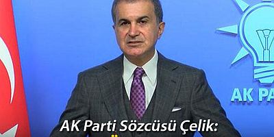 AK Parti'li Çelik: Orantısız güç kullanılmasını kabul etmiyoruz