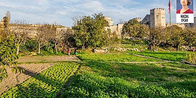 AKP’li Fatih Belediyesi, Yedikule bostanlarına tesis yapmak istiyor