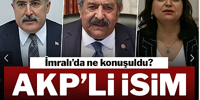 AKP'li isim İmralı'da ne konuşulduğunu tek tek paylaştı: Sürecin en kritik dönemi yeni başlıyor