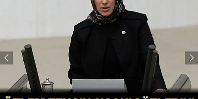 AKP'li Özlem Zengin, uçak sözleri tepki görünce geri adım attı