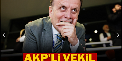 AKP'li vekil baltayı taşa vurdu
