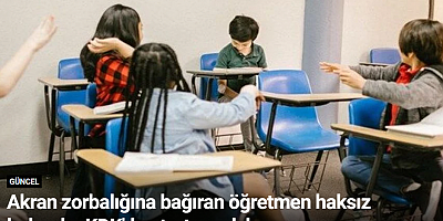 Akran zorbalığına bağıran öğretmen haksız bulundu: KDK'dan tartışmalı karar