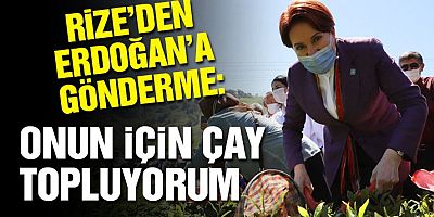 Akşener’den Erdoğan’a: Onun için çay topluyorum