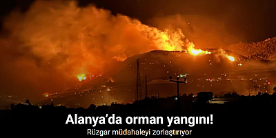 Alanya’da gece başlayan orman yangınına sabahın ilk ışıklarıyla müdahale devam ediyor